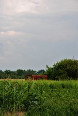 chinese temple in the morning