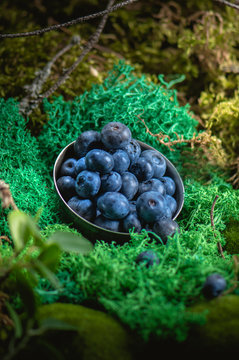 Freshly picked blueberries in wooden bowl
