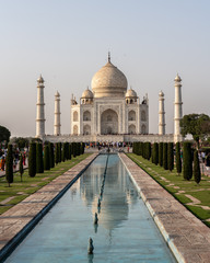 Fototapeta premium taj mahal agra india