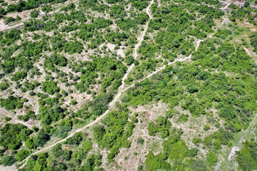 Fototapeta na wymiar This unique photo shows the landscape of Thailand from above with trees and dirt roads! the picture was taken in Hua Hin with a drone