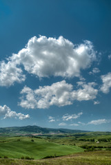 beau paysage de colline en  Toscane en Italie au printemps avec champ de blé