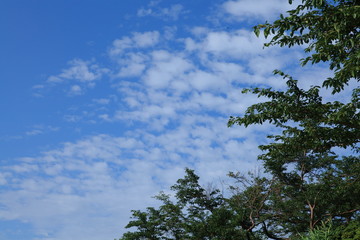 Obraz premium 夏の高原の青空