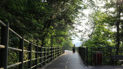 path in the park