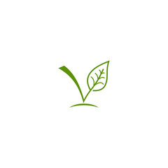 modern green leaf vector logo template