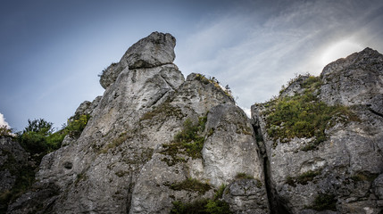 Skały Góry Zborów na Wyżynie Krakowsko-Częstochowskiej w Podlesicach