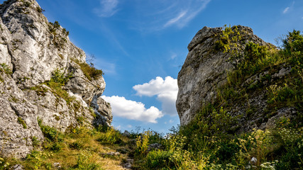 Skały Góry Zborów na Wyżynie Krakowsko-Częstochowskiej w Podlesicach © Franciszek