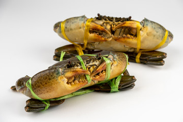Raw fresh crab isolated on white background