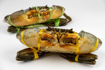 Raw fresh crab isolated on white background