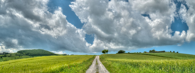 chemin portant sur beau paysage de colline en  Toscane en Italie au printemps avec champ de blé