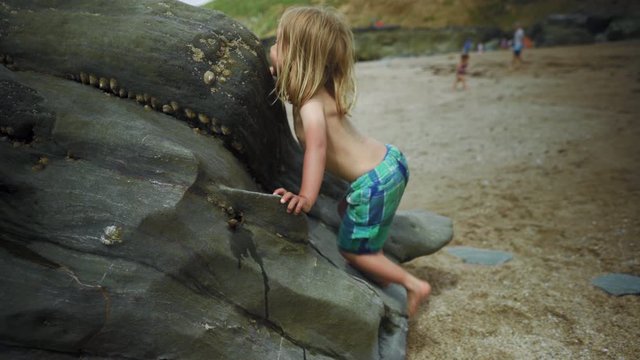 Preschooler climbing on rocks at the beach