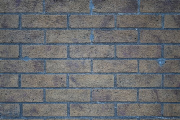 Brick wall in urban area.
