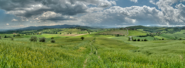 beau paysage de colline en  Toscane au printemps avec champ de blé