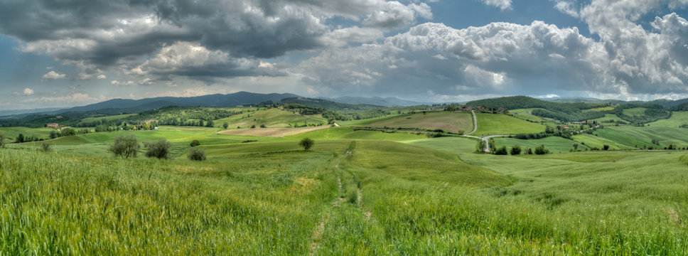 beau paysage de colline en  Toscane au printemps avec champ de bl&eacute;