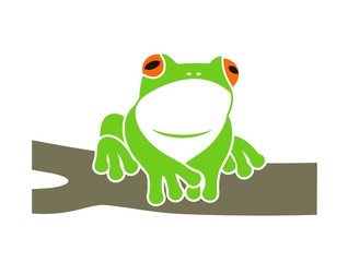 Red eye frog. Tree frog