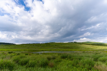 Obraz premium 霧ヶ峰高原の景色