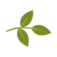 Fototapeta na wymiar Isolated green leaves vector design
