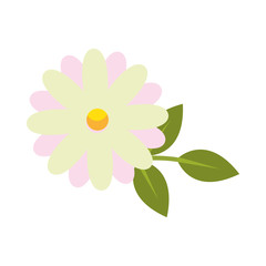 white flower with leaves vector design