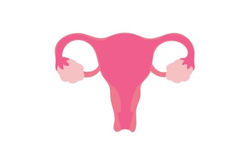 Flat vector illustration of woman uterus.