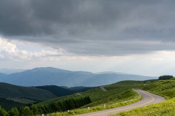 Fototapeta na wymiar 夏の車山高原