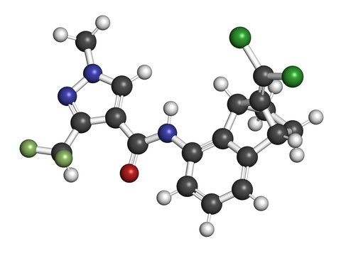 Benzovindiflupyr fungicide molecule. 3D rendering. Atoms are represented as spheres with conventional color coding: hydrogen (white), carbon (grey), nitrogen (blue), oxygen (red), etc