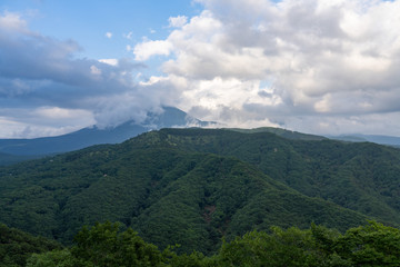 Fototapeta na wymiar 夏の車山高原