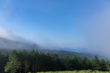 朝霧の車山高原