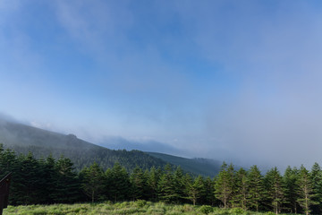 朝霧の車山高原