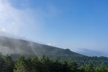 朝霧の車山高原