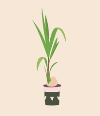 Coconut palm in ceramic flowerpot. Houseplant isolated. Trendy hugge style, urban jungle decor. Hand drawn sketch, naive art. Print, poster, banner, wallpaper. Logo, label. Green, pink pastel colors.