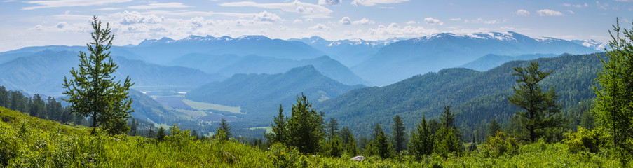 Fototapeta premium View of the mountain valley from the pass. Summer greens, trees, morning haze. 