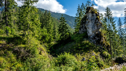 Tatry Zachodnie, widok z Doliny Chochołowskiej