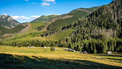 G&oacute;ry, Polana Chochołowska w Dolinie Chochołowskiej, Tatry Zachodnie