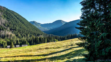 Góry, Polana Chochołowska w Dolinie Chochołowskiej, Tatry Zachodnie