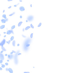 Dark blue flower petals falling down. Tempting rom