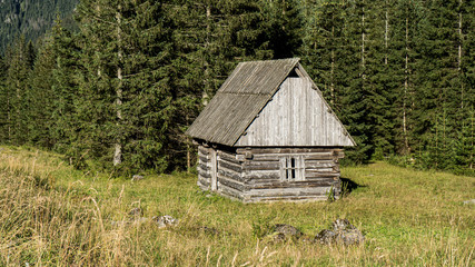 Szałas drewniany na Polanie Chochołowskiej w Tatrach Zachodnich. - obrazy, fototapety, plakaty