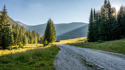 Góry, Polana Chochołowska w Dolinie Chochołowskiej, Tatry Zachodnie © Franciszek