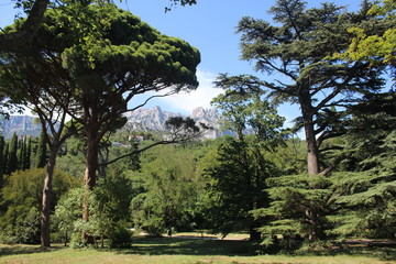 Yalta beautiful views of Mount Ai-petri