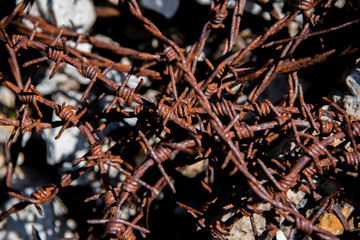 intertwining of death