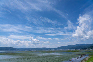 Fototapete bei efototapeten.de bestellen   