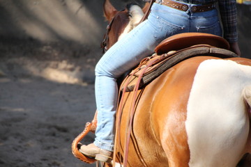 Horseman © Petra Bonner