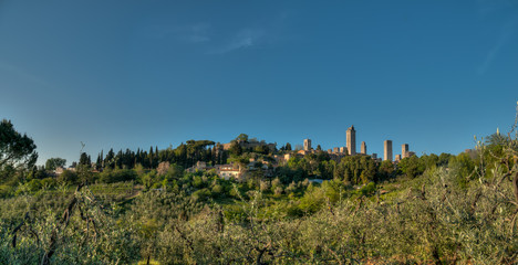 Fototapeta na wymiar San Gimignano en Toscane devant un champ d'olivier en été