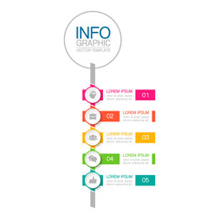 Vector infographic template with 5 steps or options. Data presentation, business concept design for web, brochure, diagram.