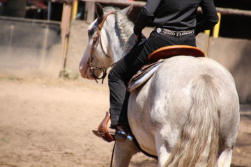 Western Reitkunst