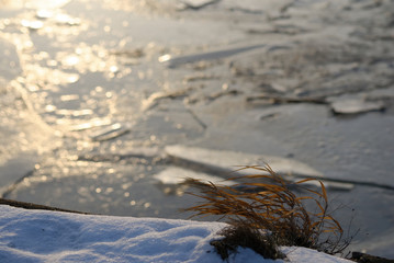 grass on the edge of the river embankment in winter, Moscow