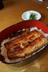grilled eel steak on a plate