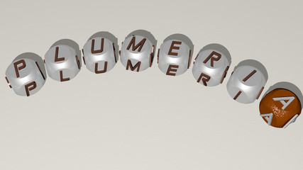 plumeria curved text of cubic dice letters, 3D illustration