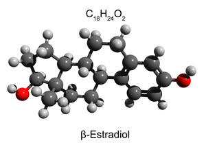 Structure of the main female hormone estradiol molecule, ball-and-stick model, white background, 3D illustration