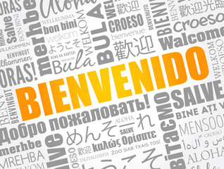 Bienvenido - Welcome in Spanish, word cloud in different languages