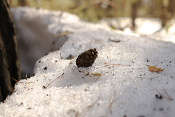 The bump fell into the snow.