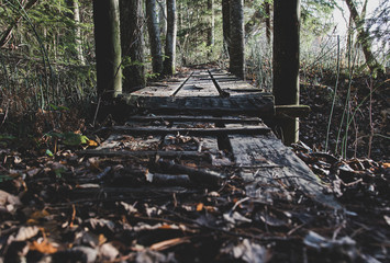Hiking trail with a wooden bridge during the autumn days when the leaves have fallen